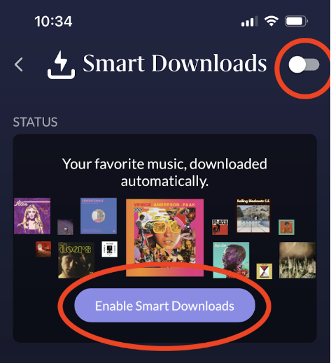 Roon Knowledge Base ARC Smart Downloads ACM Premium Audio