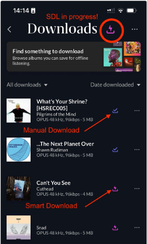 Roon Knowledge Base ARC Smart Downloads ACM Premium Audio