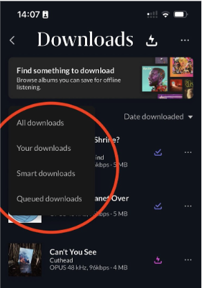 Roon Knowledge Base ARC Smart Downloads ACM Premium Audio