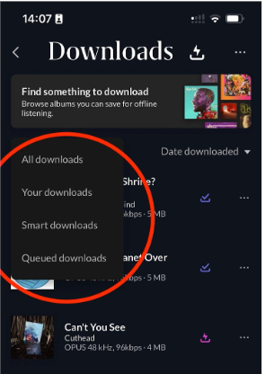 Roon Knowledge Base ARC Smart Downloads ACM Premium Audio