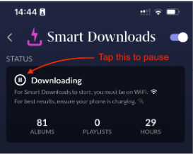 Roon Knowledge Base ARC Smart Downloads ACM Premium Audio