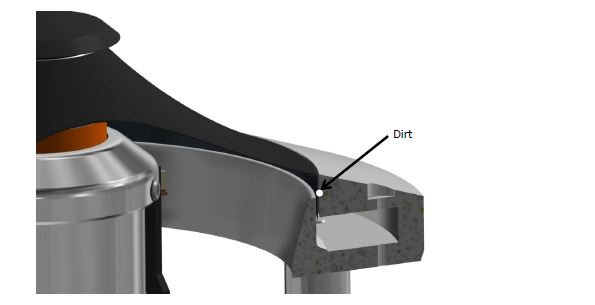 Ilumnia Lautsprecher Magister mkII Novus Lautsprecherreinigung